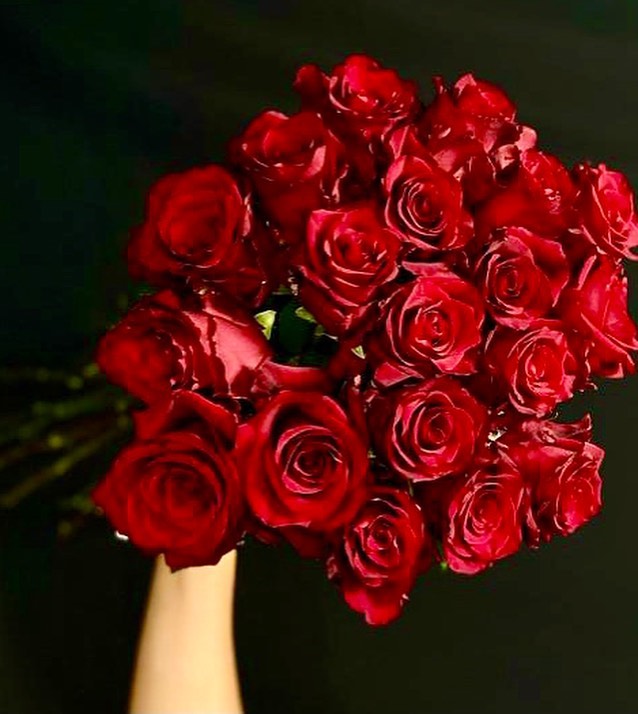 Rosas Rojas